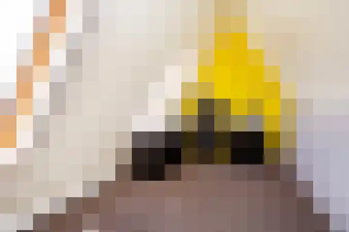 Triumphperenlaan 28 Vleuten thumbnail 45