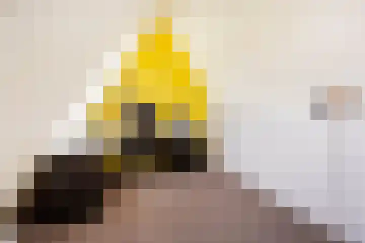 Triumphperenlaan 28 Vleuten thumbnail 46