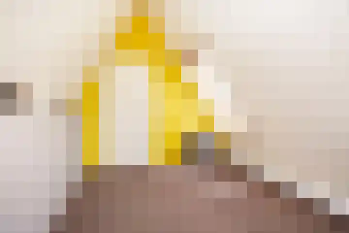 Triumphperenlaan 28 Vleuten thumbnail 47