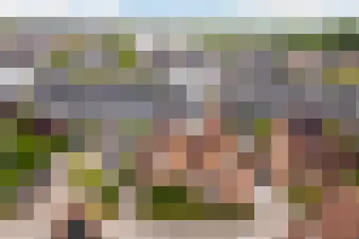 Triumphperenlaan 28 Vleuten thumbnail 48