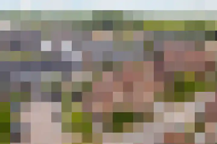 Triumphperenlaan 28 Vleuten thumbnail 49