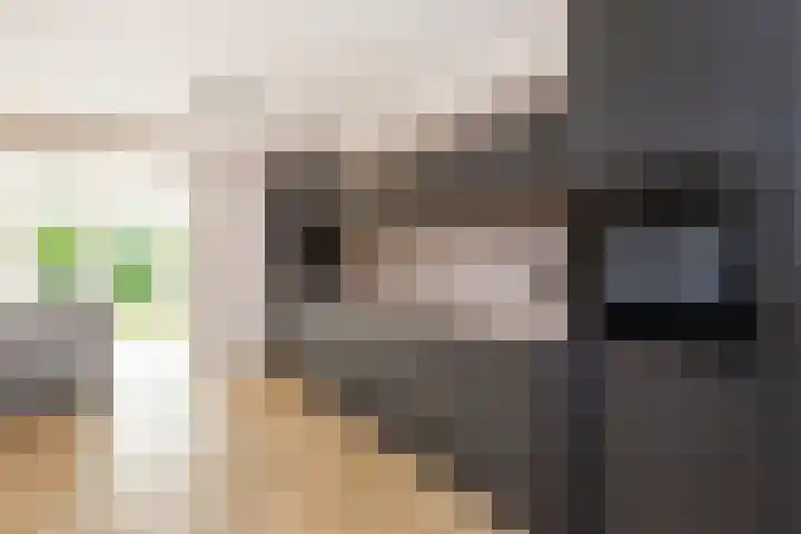 Triumphperenlaan 28 Vleuten thumbnail 5