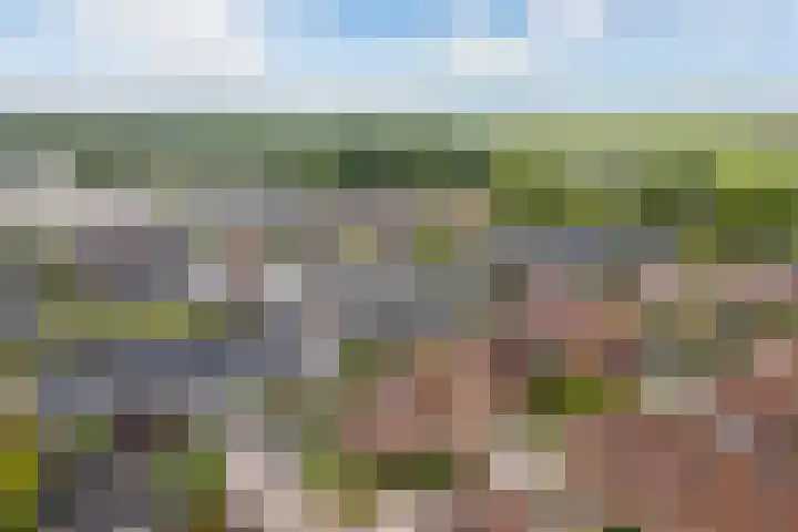 Triumphperenlaan 28 Vleuten thumbnail 50