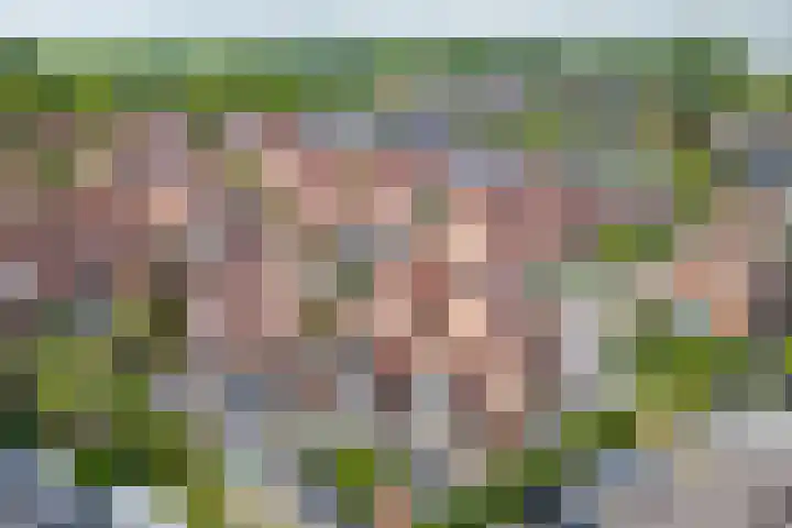 Triumphperenlaan 28 Vleuten thumbnail 52