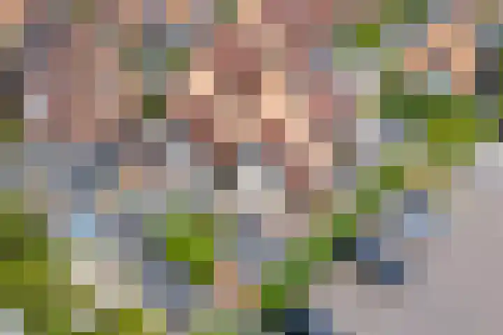 Triumphperenlaan 28 Vleuten thumbnail 53