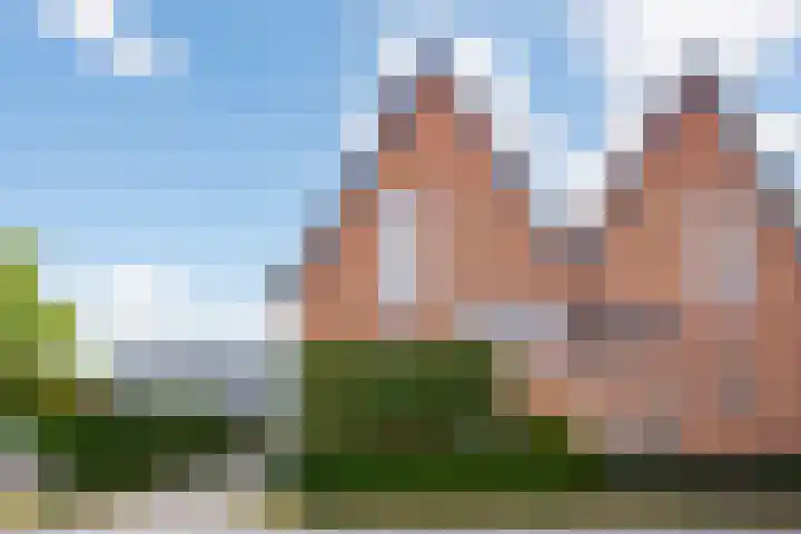 Triumphperenlaan 28 Vleuten thumbnail 56