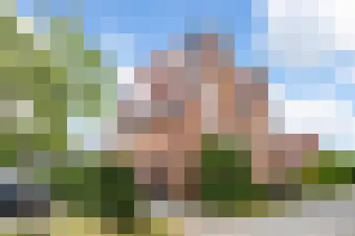 Triumphperenlaan 28 Vleuten thumbnail 57