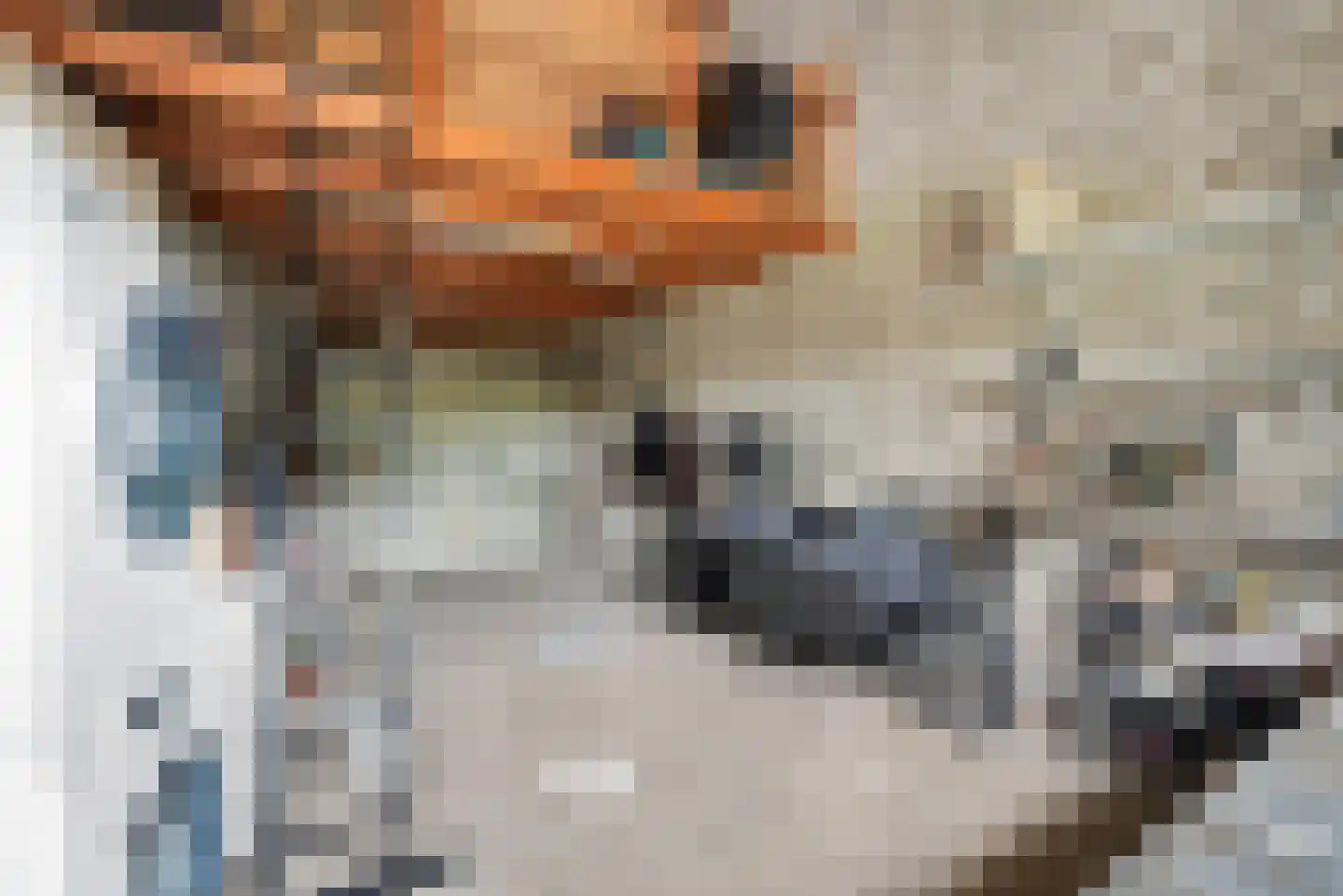Trix Terwindtstraat 21 Middelburg thumbnail 35