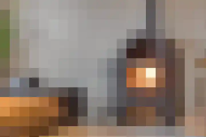 Trix Terwindtstraat 25 Spijkenisse thumbnail 10