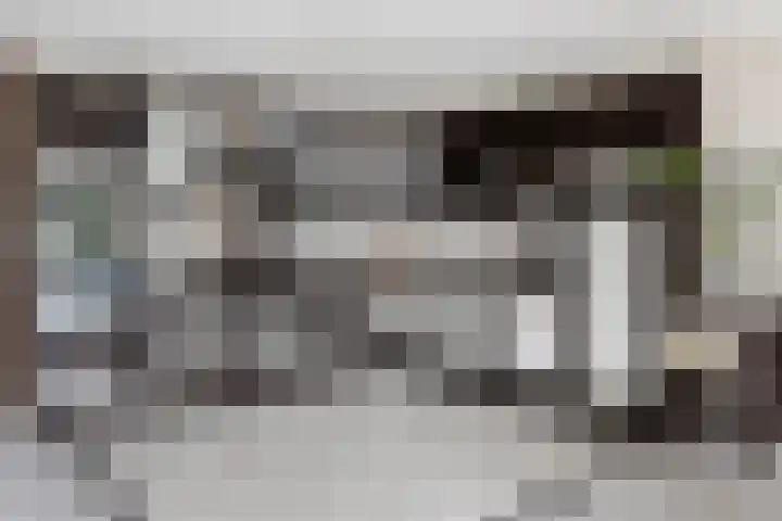 Trix Terwindtstraat 25 Spijkenisse thumbnail 11