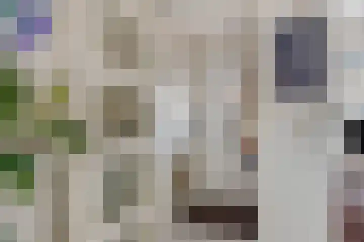 Trix Terwindtstraat 25 Spijkenisse thumbnail 13