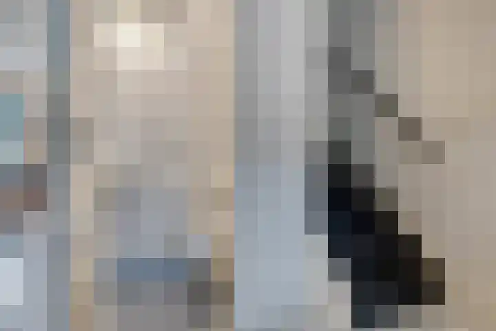 Trix Terwindtstraat 25 Spijkenisse thumbnail 14