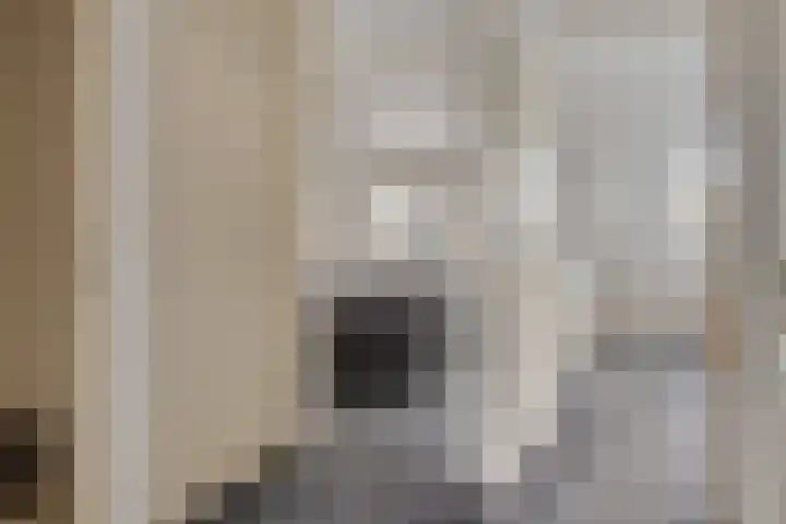 Trix Terwindtstraat 25 Spijkenisse thumbnail 17