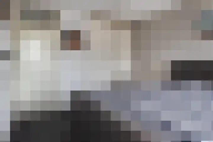 Trix Terwindtstraat 25 Spijkenisse thumbnail 21