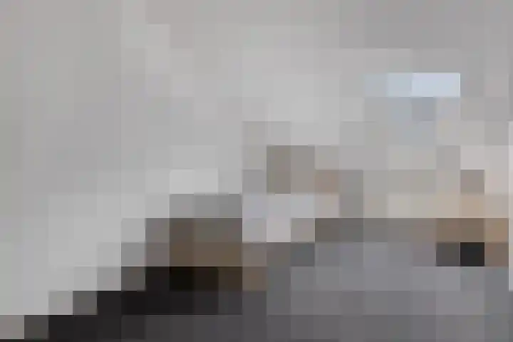 Trix Terwindtstraat 25 Spijkenisse thumbnail 22