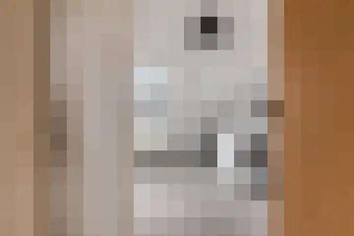 Trix Terwindtstraat 25 Spijkenisse thumbnail 24