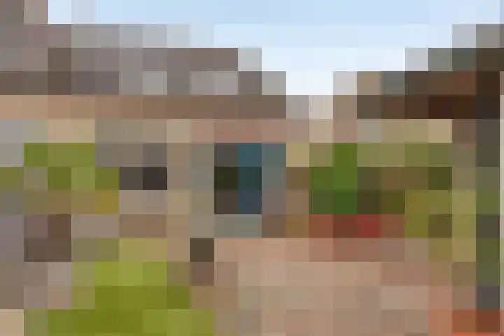 Trix Terwindtstraat 25 Spijkenisse thumbnail 27