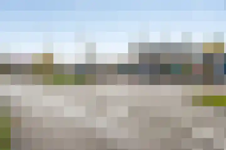 Trix Terwindtstraat 25 Spijkenisse thumbnail 34