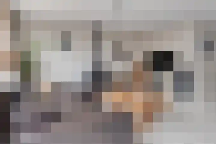 Trix Terwindtstraat 25 Spijkenisse thumbnail 4