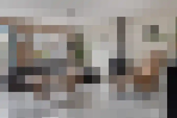Trix Terwindtstraat 25 Spijkenisse thumbnail 5
