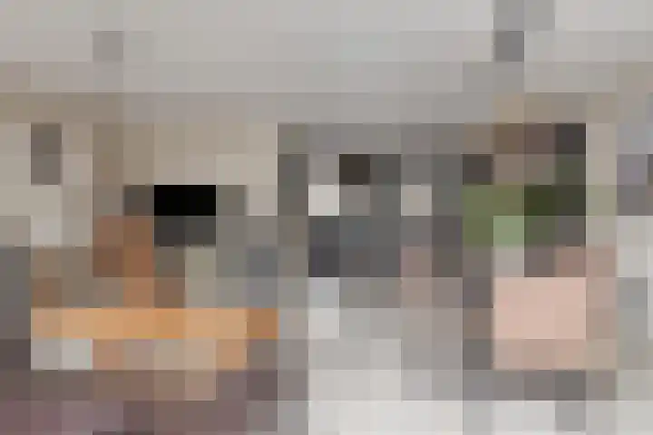 Trix Terwindtstraat 25 Spijkenisse thumbnail 6