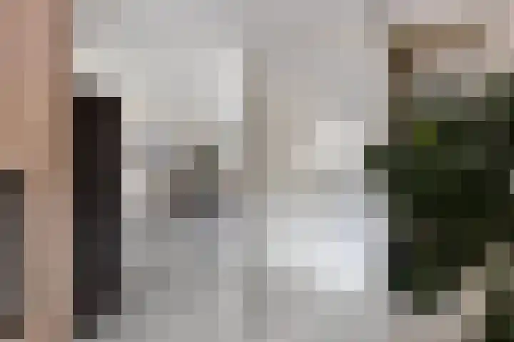 Trix Terwindtstraat 25 Spijkenisse thumbnail 7
