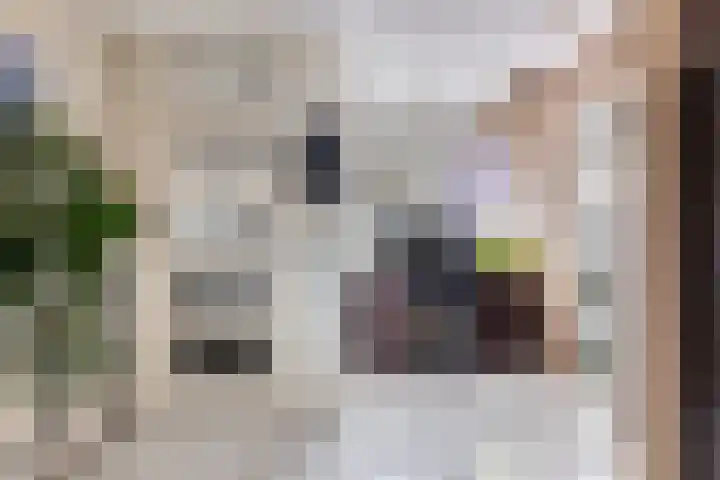 Trix Terwindtstraat 25 Spijkenisse thumbnail 8