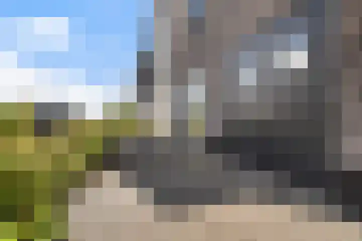 Troch de Koer 26 Deinum thumbnail 10