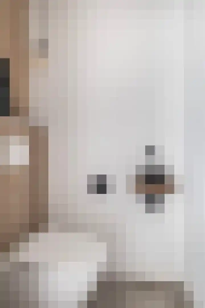 Troch de Koer 26 Deinum thumbnail 11
