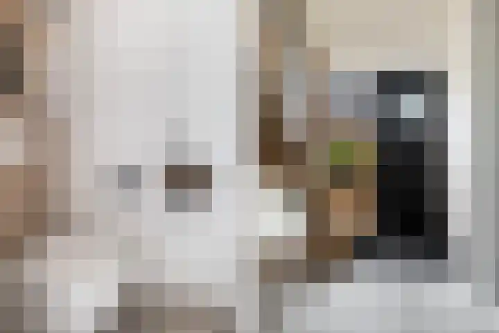 Troch de Koer 26 Deinum thumbnail 12