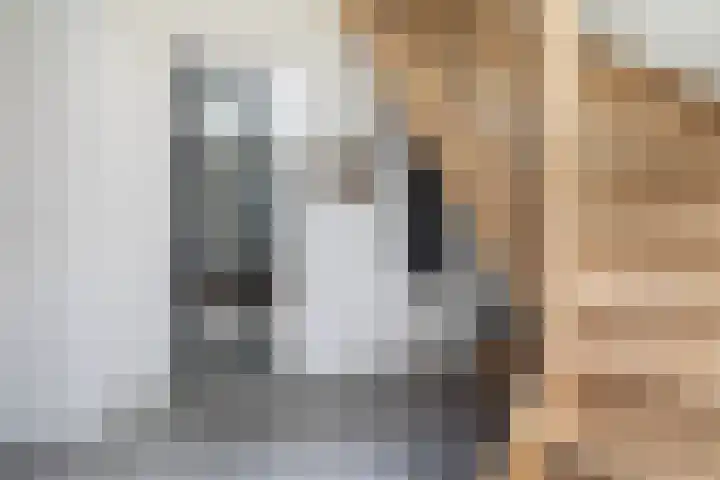 Troch de Koer 26 Deinum thumbnail 13
