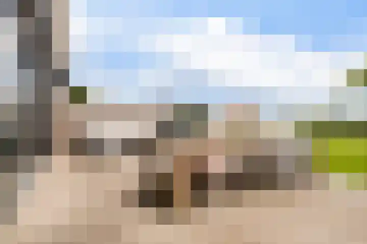 Troch de Koer 26 Deinum thumbnail 23