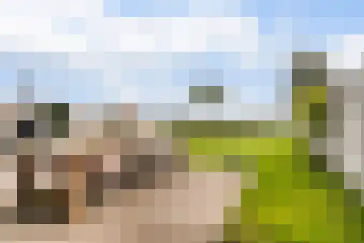 Troch de Koer 26 Deinum thumbnail 24