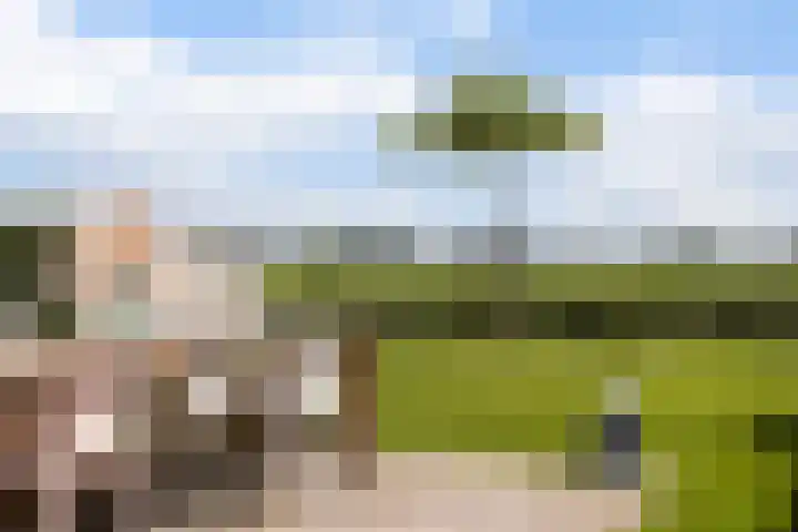 Troch de Koer 26 Deinum thumbnail 25