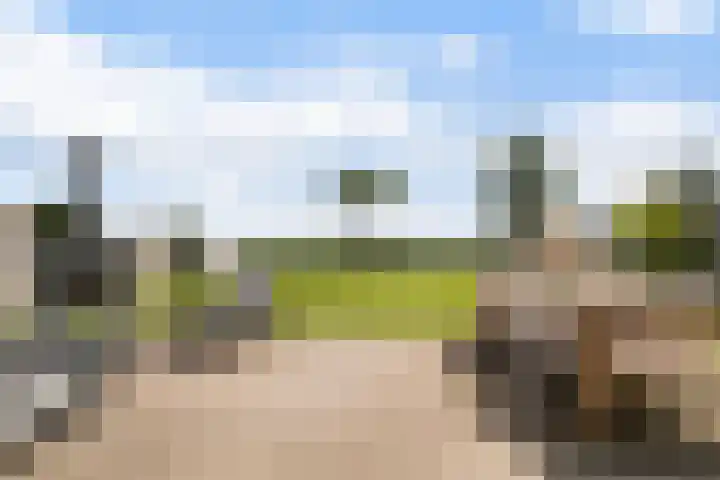Troch de Koer 26 Deinum thumbnail 26