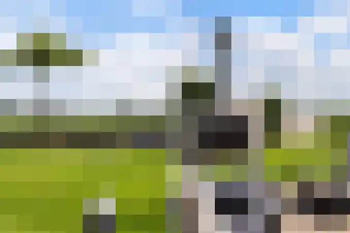 Troch de Koer 26 Deinum thumbnail 27