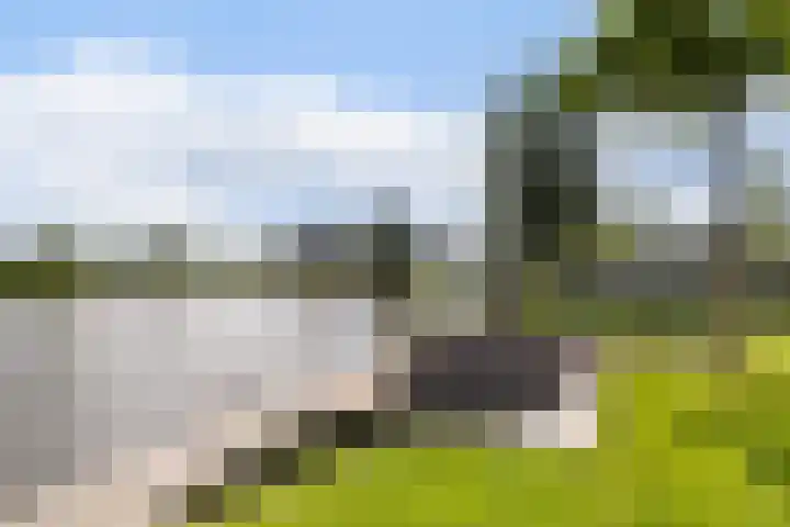 Troch de Koer 26 Deinum thumbnail 28