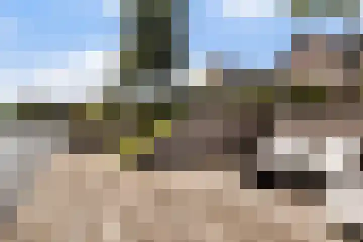 Troch de Koer 26 Deinum thumbnail 29