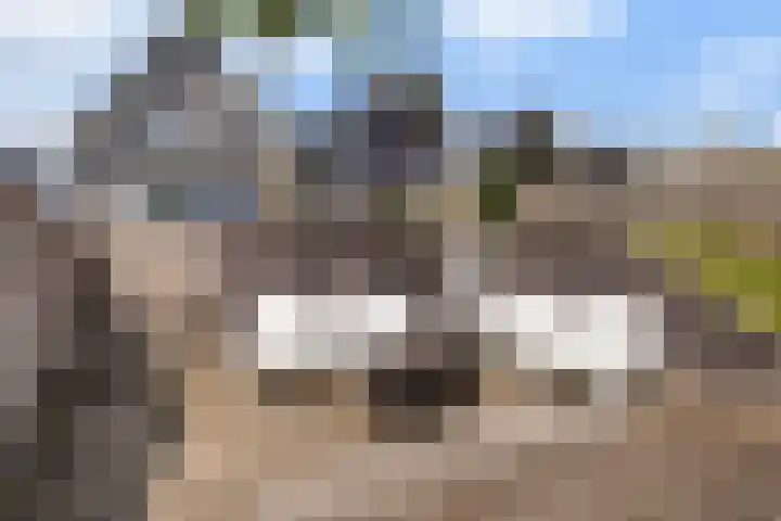Troch de Koer 26 Deinum thumbnail 30