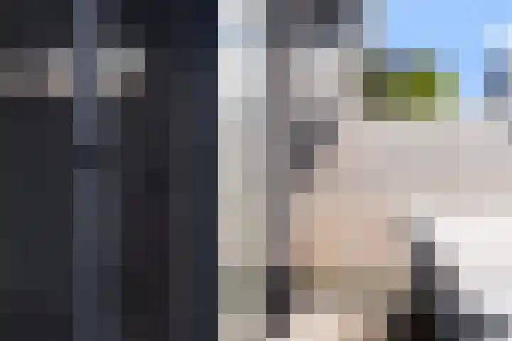 Troch de Koer 26 Deinum thumbnail 31
