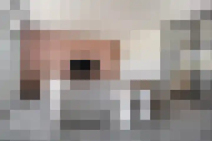 Troch de Koer 26 Deinum thumbnail 32