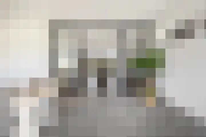 Troch de Koer 26 Deinum thumbnail 33