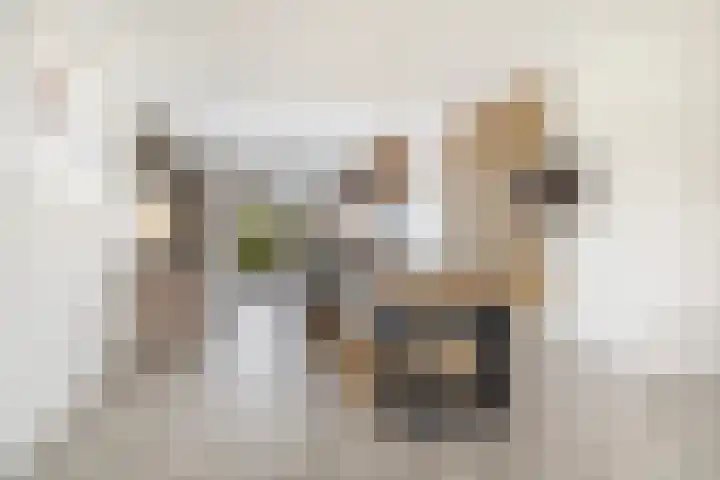 Troch de Koer 26 Deinum thumbnail 34