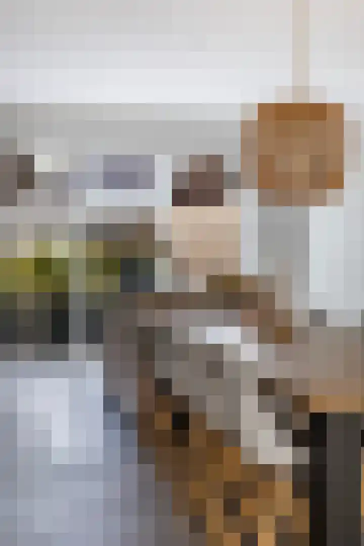 Troch de Koer 26 Deinum thumbnail 37