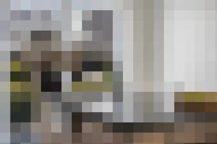 Troch de Koer 26 Deinum thumbnail 40