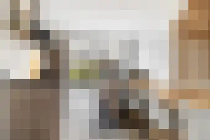 Troch de Koer 26 Deinum thumbnail 42