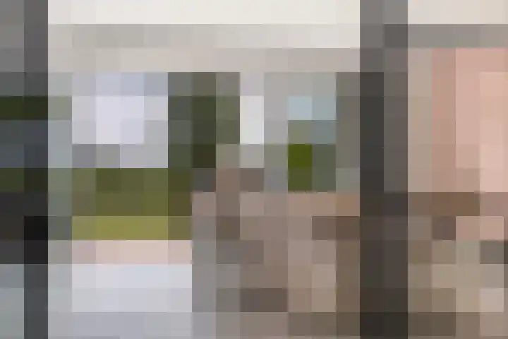 Troch de Koer 26 Deinum thumbnail 43