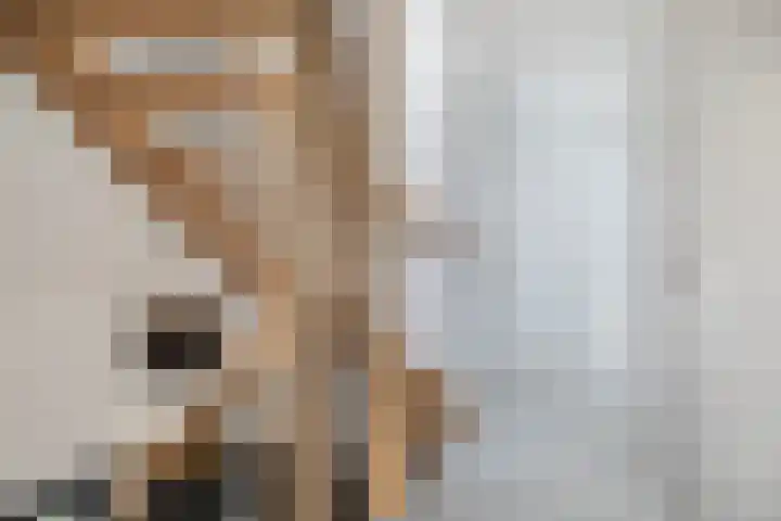 Troch de Koer 26 Deinum thumbnail 45