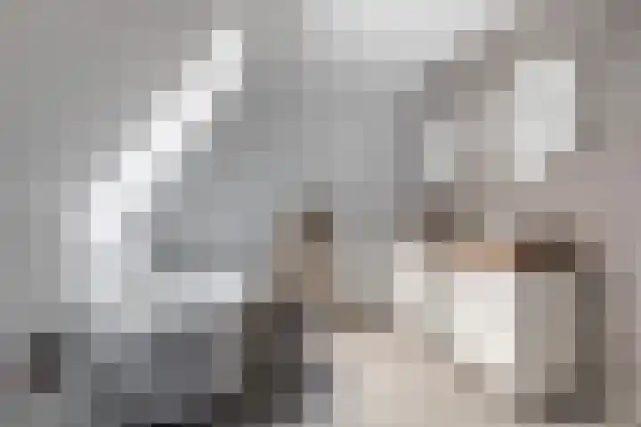 Troch de Koer 26 Deinum thumbnail 49