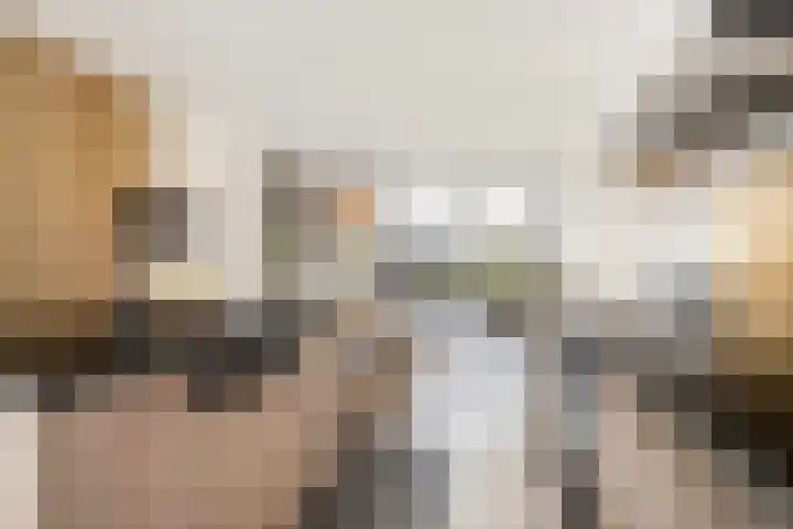 Troch de Koer 26 Deinum thumbnail 5